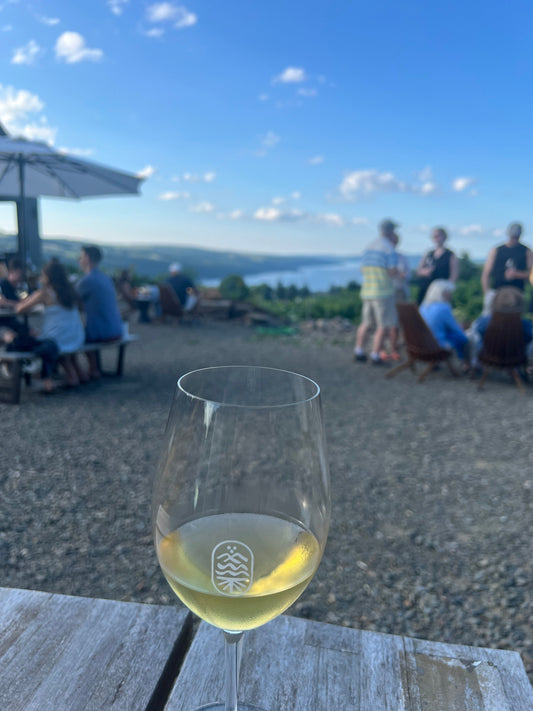 🍷 10 Finger Lakes Wineries You’ll Actually Want to Visit